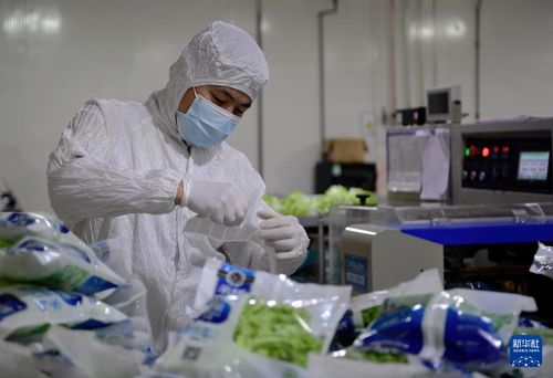 探訪(fǎng)大型無(wú)人植物工廠(chǎng) 通信技術(shù)驅(qū)動(dòng)農(nóng)業(yè)革新