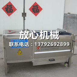 濟寧全自動洗姜機專業制作廠家 放心機械用專業技術做專業產品